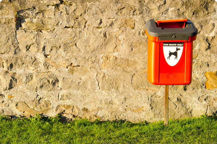 Dog waste bin